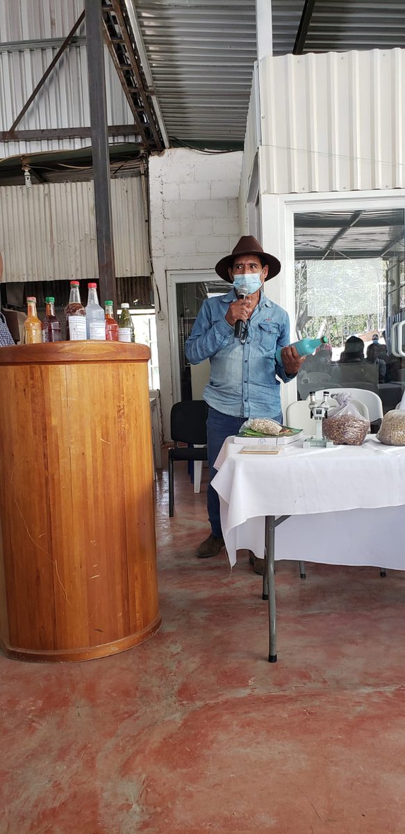 GizHonduras's tweet photo. MAPANCE junto a productor de #FincasModelo de la #ReservadeBiosfera #CXX Realizaron un intercambio con la Fundación Acción Comunitaria en Victoria, Yoro, para compartir conocimientos con cafetaleros sobre la elaboración de bio #abonosorgánicos, comercialización de café. https://t.co/zxWqayCuUQ
