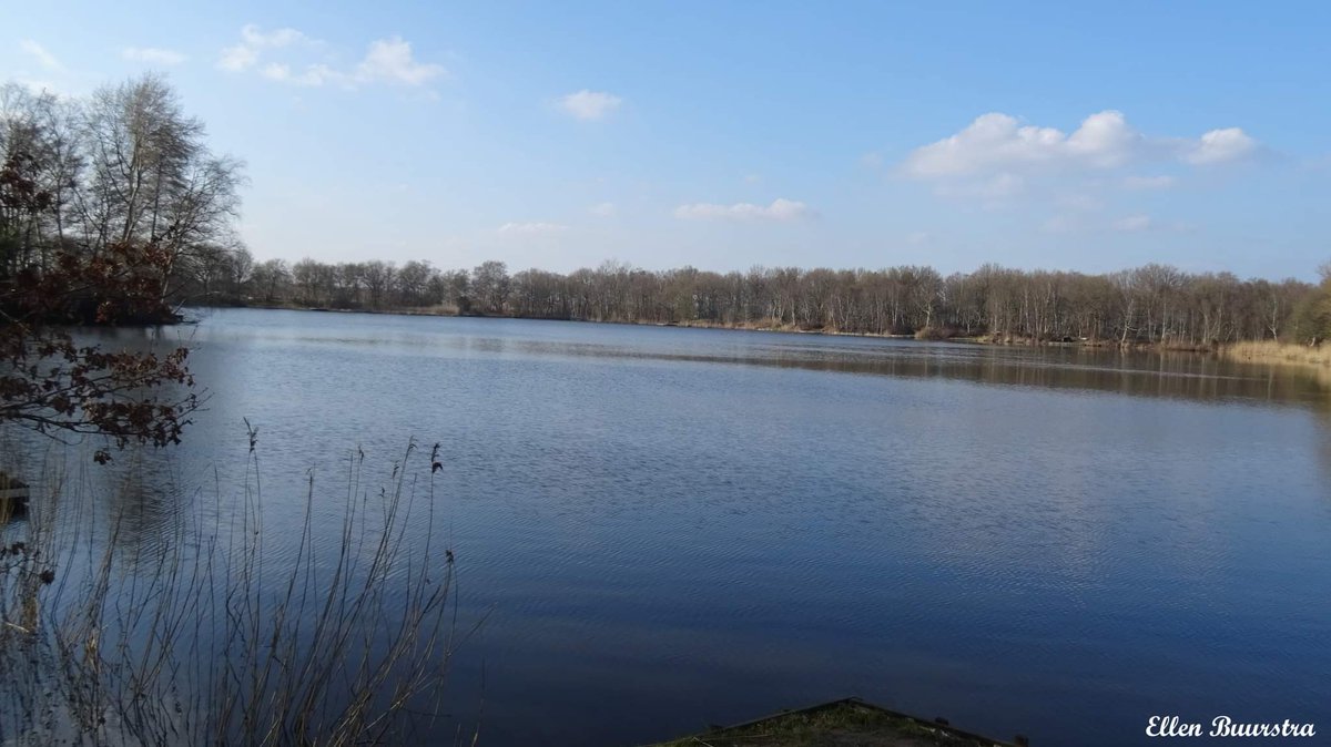 Pietsje Hannema Greidanus tweet media