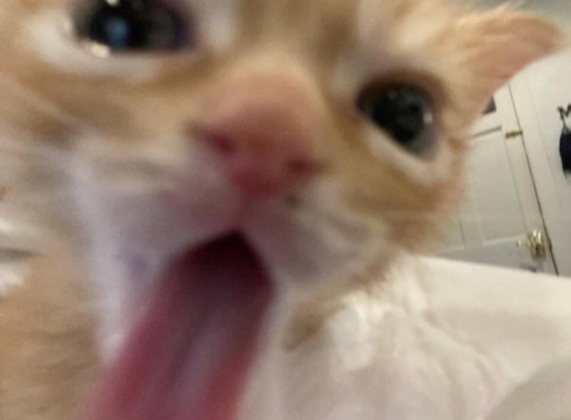 Bossdussy need me yes