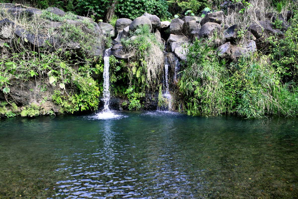 Agarra tu mochila y vámonos todo el fin de semana a Ahuacatlán, donde se unen historia, naturaleza y aventura.⛪🍃🧗

#ValleNayarit #LaPuertaALaMagia