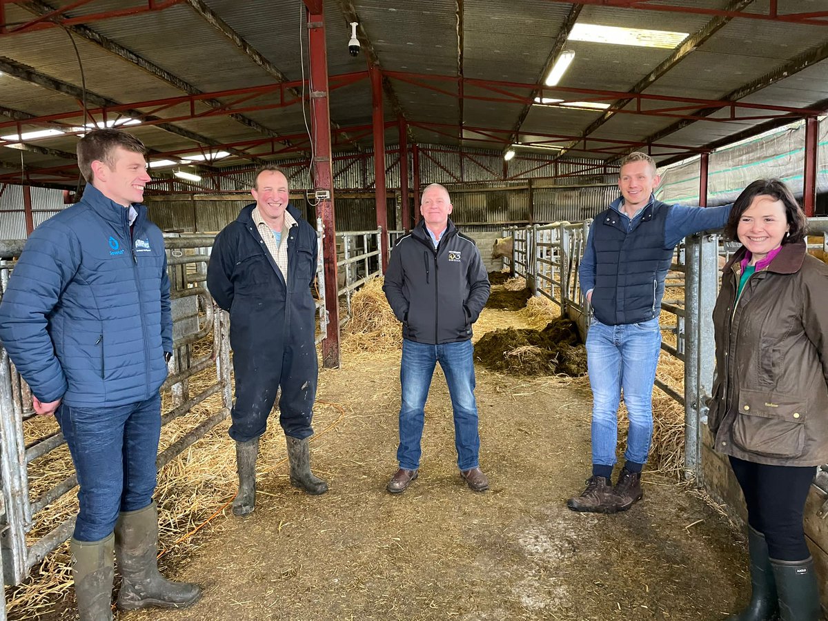 CiaranLen's tweet photo. Great to chat to some top class beef cattle breeders today. Good to see @jheslin14 too 👋🐄 https://t.co/qbXyTNernO
