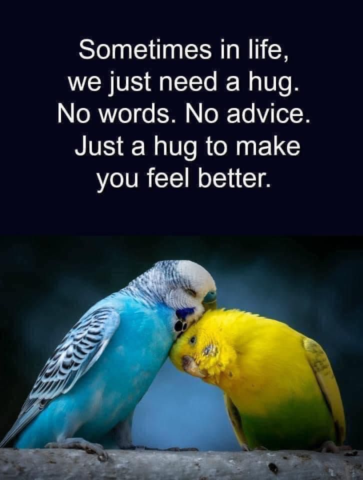 Sending HUGs to you all. Wishing you a peaceful weekend 💜 
#helpusgrieve