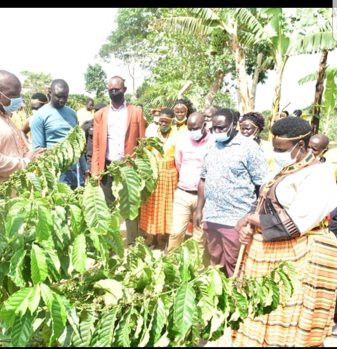 jessica_alupo's tweet photo. I was at the Presidential Demonstration Farm in Kawumu, Luwero today, with a group of women from Karenga,Karamoja. The women were here on a study  tour; to see,learn and implement  best farm practices back home. The farm has several products, including fish ponds,poultry  etc.1/ https://t.co/uAypG3i8WY