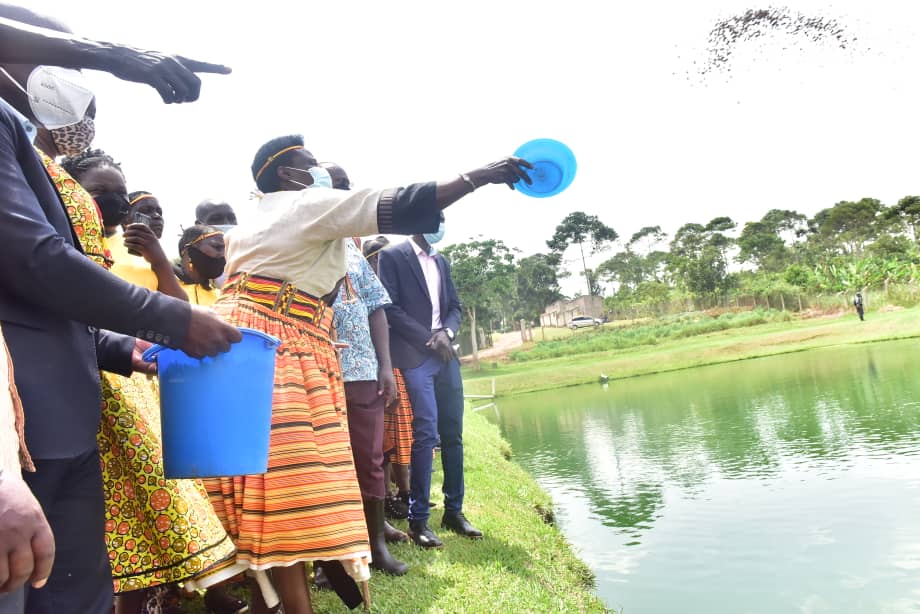 jessica_alupo's tweet photo. I was at the Presidential Demonstration Farm in Kawumu, Luwero today, with a group of women from Karenga,Karamoja. The women were here on a study  tour; to see,learn and implement  best farm practices back home. The farm has several products, including fish ponds,poultry  etc.1/ https://t.co/uAypG3i8WY