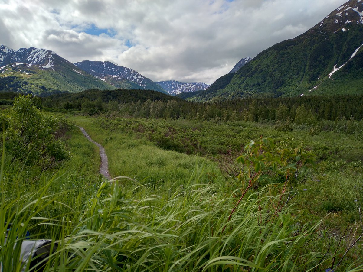 ChugachForestAK's tweet photo. #ChugachNF is seeking a Vegetation Program Manager GS-408/430-11/12. Position provides oversight &amp; leadership to several program areas including vegetation ecology, botany, invasive plants, timber &amp; hazardous fuels. https://t.co/GRVMHdzG8u - closes March 22.  
Photos: Amanda Goss https://t.co/cGC7KDZO9P