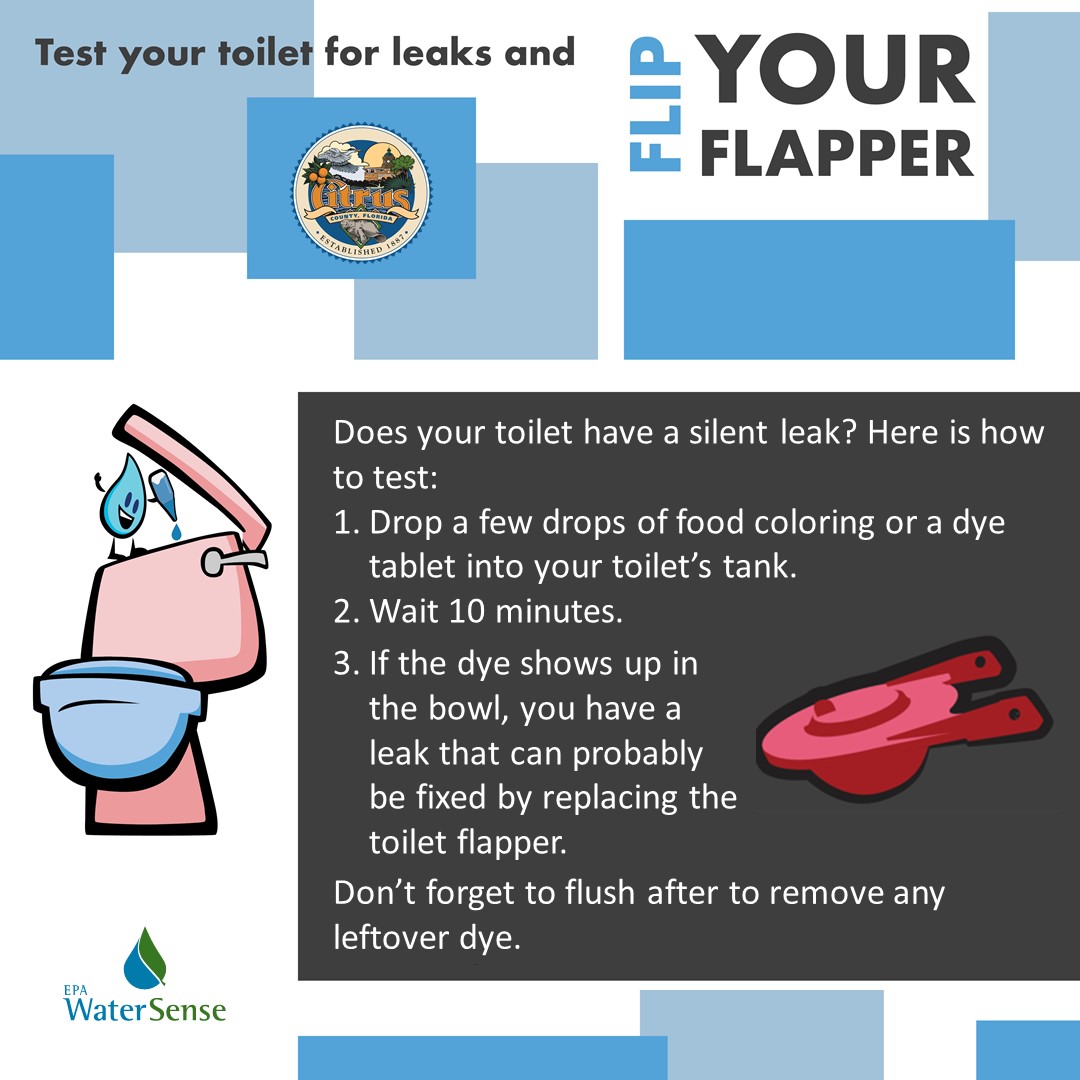 Citrus County Government (@citrusbocc) on Twitter photo Toilet leaks can be silent and waste hundreds of gallons per day.  Test yours today. #FixALeak week. youtu.be/NtJBTsXxU1s Toilet leaks can be silent and waste hundreds of gallons per day.  Test yours today. #FixALeak week. youtu.be/NtJBTsXxU1s