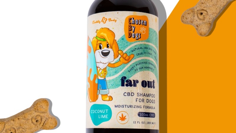 ChosenByDogsCBD's tweet photo. Chosen By Dogs "Far Out" moisturizing shampoo for dogs:
🐾Moisturizes fur with cbd &amp; hemp seed oils
🐾Softens coat, adds shine
🐾Freshens with coconut lime fragrance
🐾Naturally gentle ingredients
🐾THC-Free / non-psychoactive

Model:  Carmel https://t.co/kOVf8FXgNK