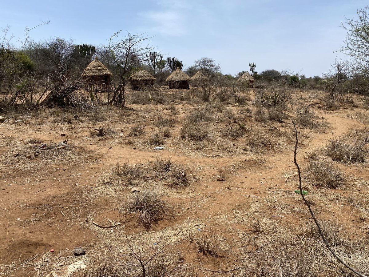 Daniel Geiger tweet media