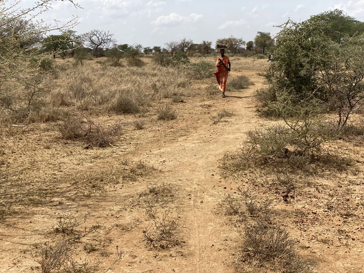 Update from fieldwork: Impressions from draught conditions in Moroto, Uganda. Early warning, early actions. #Climatecrisis <a href="/unihh/">Universität Hamburg</a> <a href="/UgandaRedCross/">Uganda Red Cross Society</a> <a href="/NTALEEMMANUEL_/">EMMANUEL NTALE</a> @IrisSeidemann <a href="/lisa_harborth/">Lisa Harborth</a>