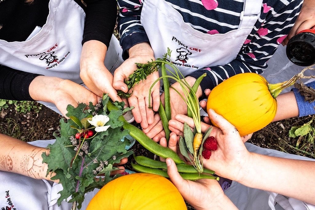 Project CHEF tweet media