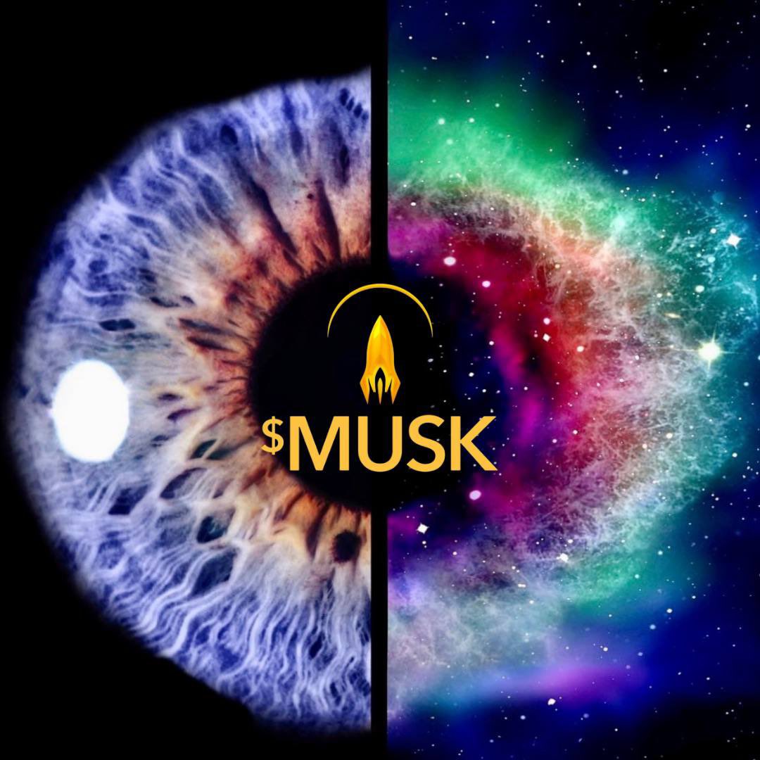 ThunderboltGon's tweet photo. @shiralazar @Muskgold #muskgold #muskyou https://t.co/BM6uxYG6gG