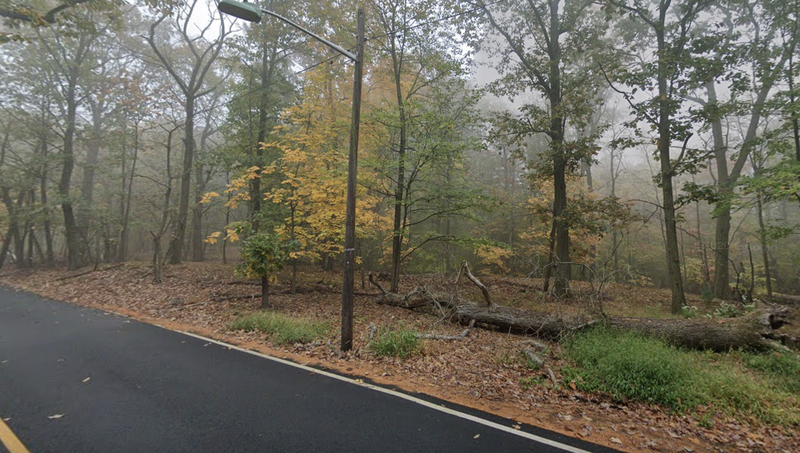 1010WINS's tweet photo. Man found shot to death on NJ hiking trail ID'd as NYC resident https://t.co/8X5wQkFhGq https://t.co/DgFpziR4Xc