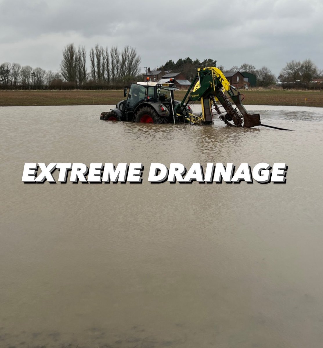 Olly harrison 🥛🍔🌱AccidentalYoutuber tweet media