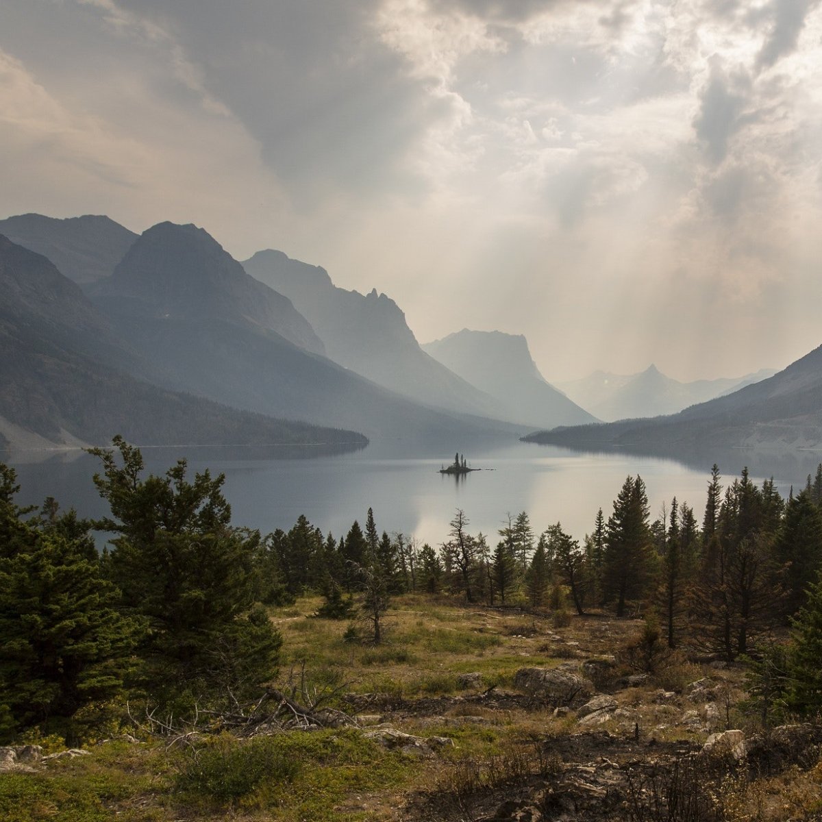 It's never too early to plan your next trip! What's on your bucket list for the next time you're in the Gardiner area?   #NorthYellowstoneCabins #Yellowstone #NationalPark #Gardiner #VisitYellowstone