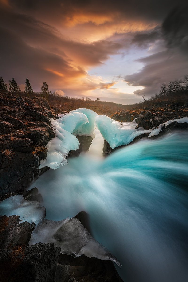 I like contrast in nature, like between the cold and warm colours that I have captured in this image. I would love to see more examples of contrast from you guys, please show me something! :)