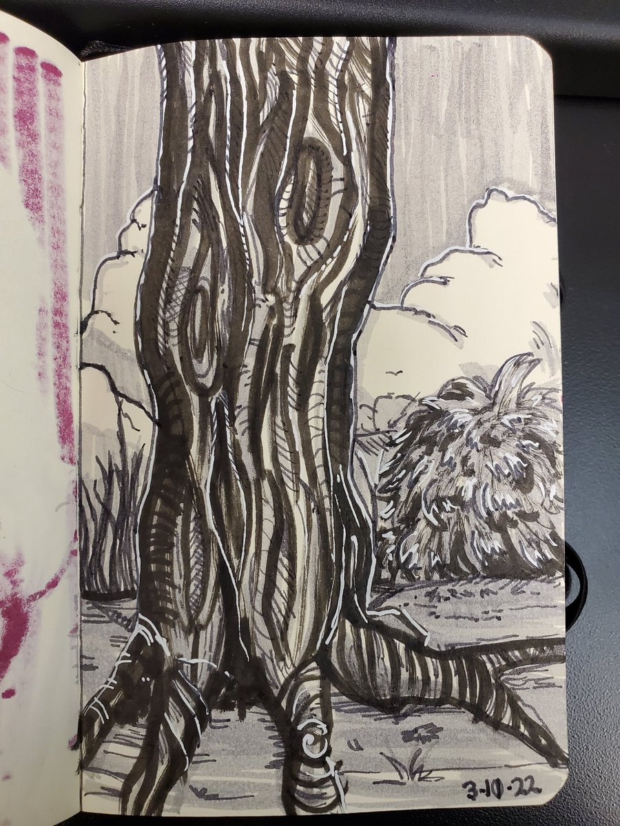 shelbyullom's tweet photo. Tree 🌳
#sketchbook #sketch #brushliner #fineliner #ArtistOnTwitter #art #nature https://t.co/LNttRPgW3z