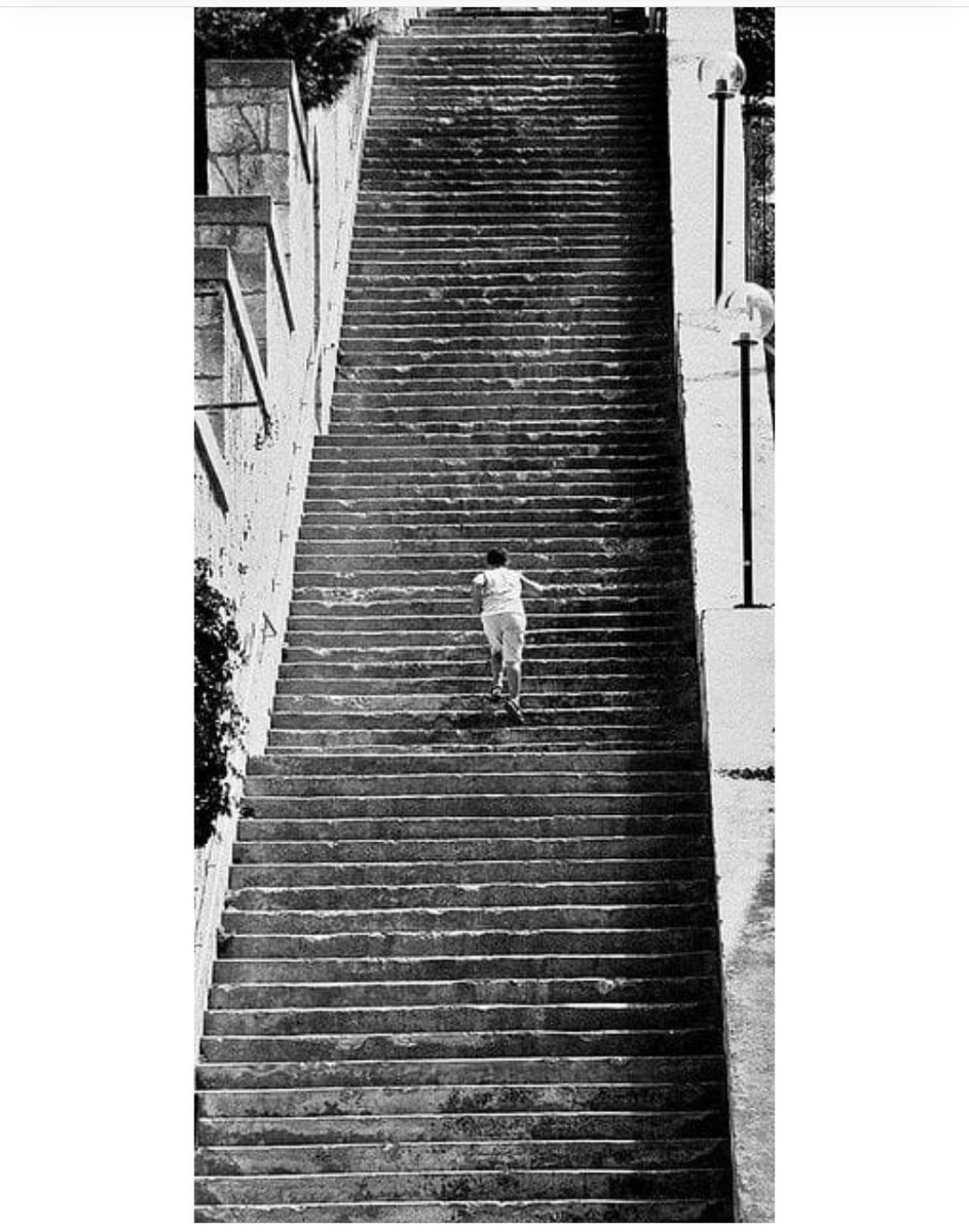 Jose Vázquez 🔻 tweet media