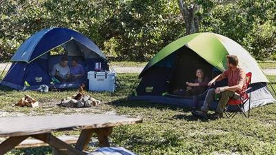 David Lucas tweet media