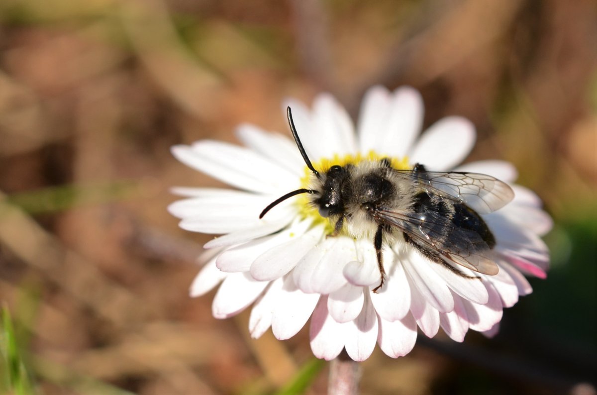 National Trust tweet media