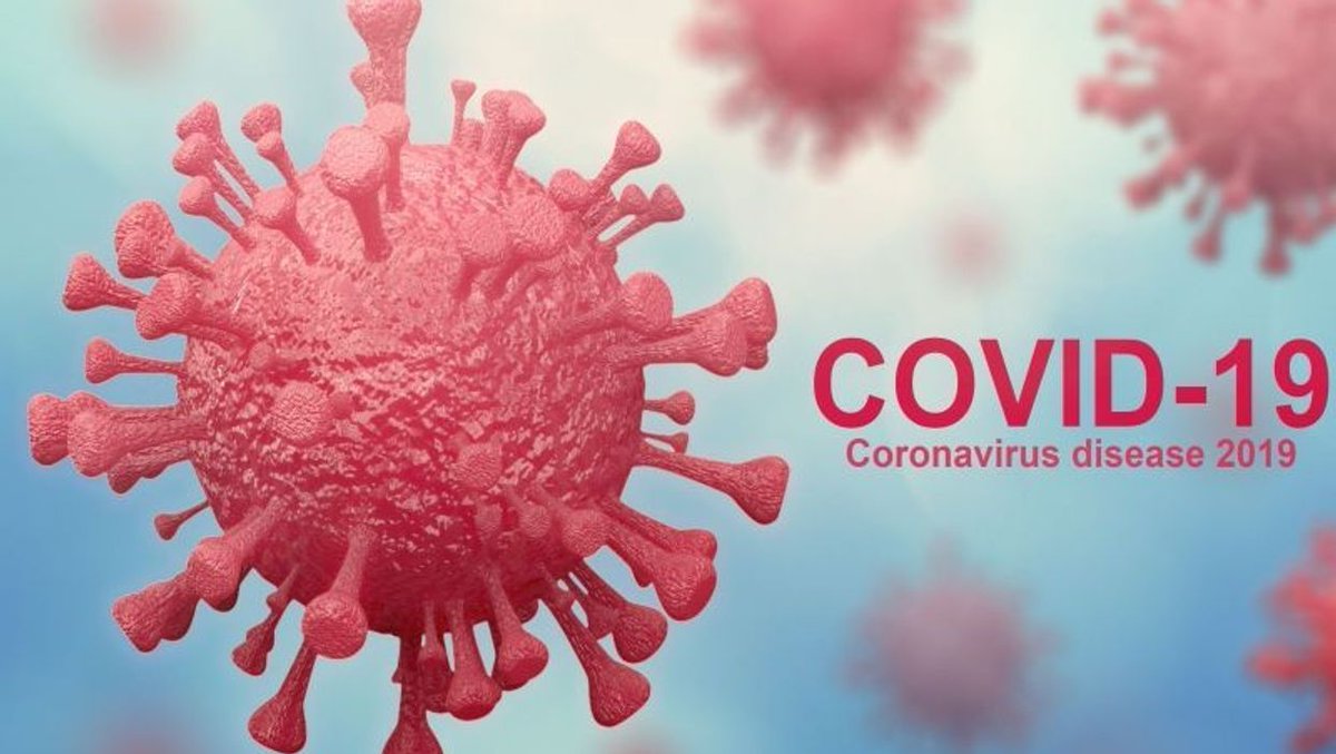 HealthyOption20's tweet photo. COVID's Global Death Toll May Be 3 Times Official Numbers

 If you think the reported worldwide death toll from the pandemic is already too high, new research suggests the number of excess deaths may be triple that of official estimates.
#COVID19 
#Health https://t.co/pe6ys7odit