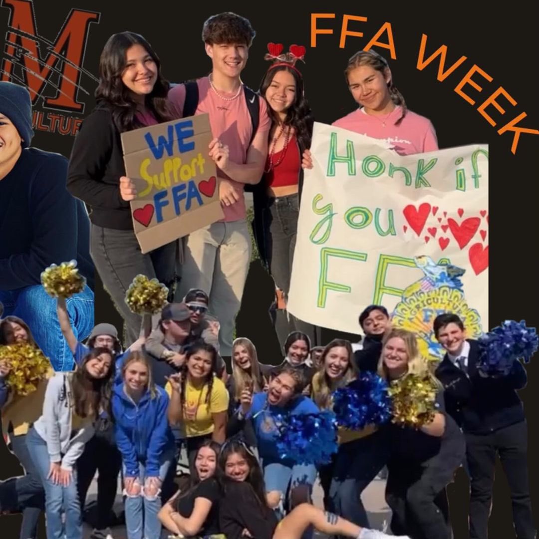 Merced Mariposa FFA Section (@mercedmariposa) on Twitter photo 