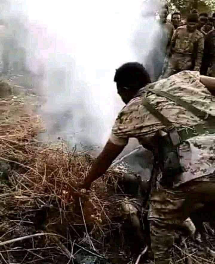 gumaaoro's tweet photo. Human Being Vs Animals👌👌 https://t.co/DsL0EWTxP3