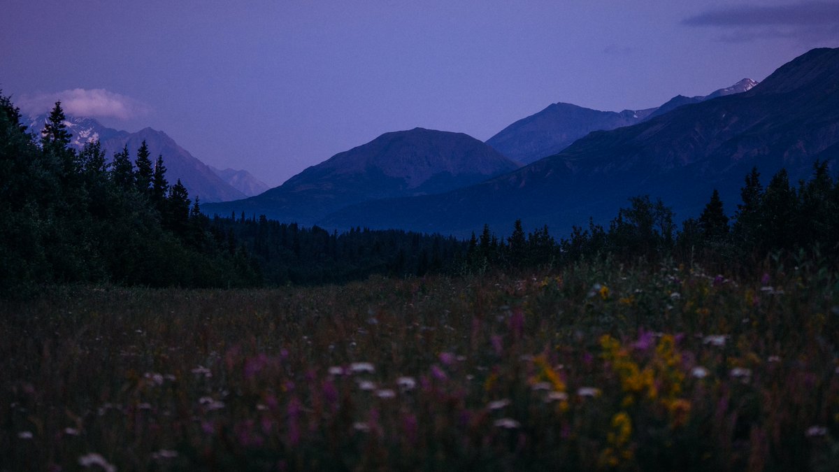 Eamon 🌃 tweet media