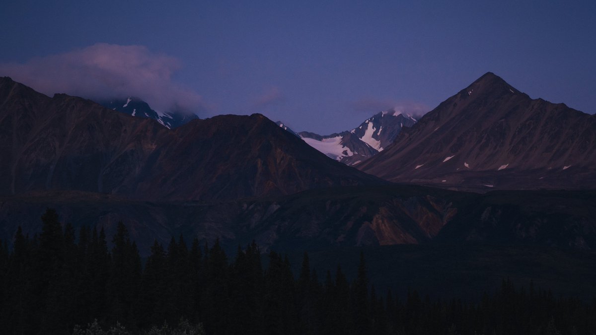 Eamon 🌃 tweet media