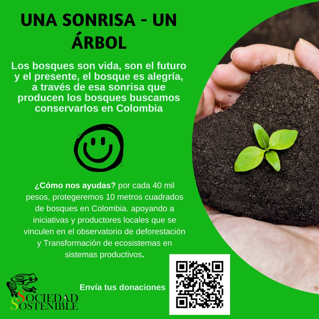 So_sostenible's tweet photo. Una #Sorisa un #Arbol una iniciativa que busca apoyar a los productores que estén vinculados en el #Observatorio de #Deforestación y Transformación de #Ecosistemas en Sistemas #Productivos

https://t.co/estcPy8aQi

@CLAUDIABAHAMON @JulianRoman @franciscoactiv2 @mambientalistac https://t.co/Ywq9iX9GWf