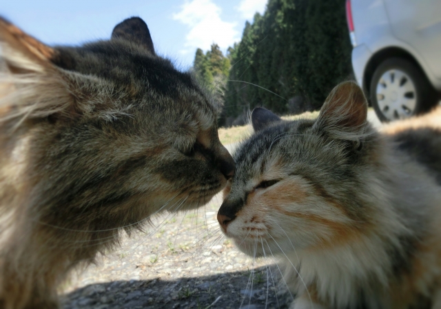i36affoku's tweet photo. 叱るときには、本気で叱らんと部下は可哀想やで。
策でもって叱ってはあかんよ。
けど、いつでも、人間は偉大な存在であるという考えを根底に持っておらんとね。

-　松下幸之助　- https://t.co/RlLJIPf5WR