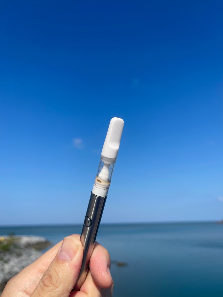 HempVillage2's tweet photo. 皆様おはようござい麻っす！☀️

HHC規制前の最後の週末ですね。
皆様はどの様な休日を過ごす予定ですか？

HHCでリラックスしてる状態でこれから私はビーチで朝YOGAで更にリラックスとリフレッシュ！🏝🧘‍♂️🏝

皆様にとって素敵な週末が訪れますように✨

Big Peace🧩

HempVillage https://t.co/v8g8VVVfjv