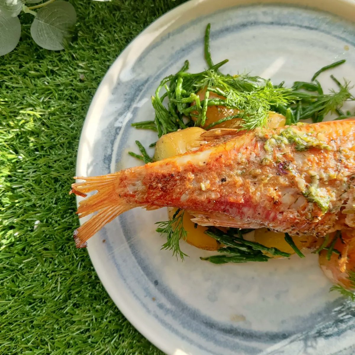 Lock13Sallins's tweet photo. Red Mullet ๐
Baby Potatoes, Irish Samphire, Dill & Caper Butter
Duck Breast ๐ฆ
Pan Seared Irish Scallops, Baby Turnips, Honey Roasted Pumpkin Puree, Pearl Barley, Port Jus
Sicilian Lemon & Garden Rosemary Panna Cotta ๐ง
#Lock13 #Sallins @GoodFoodIreland
@LucindasIreland https://t.co/P5LuuDmRdk