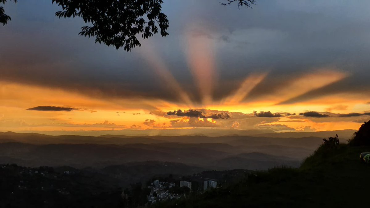 Ignacio Mantilla Prada tweet media