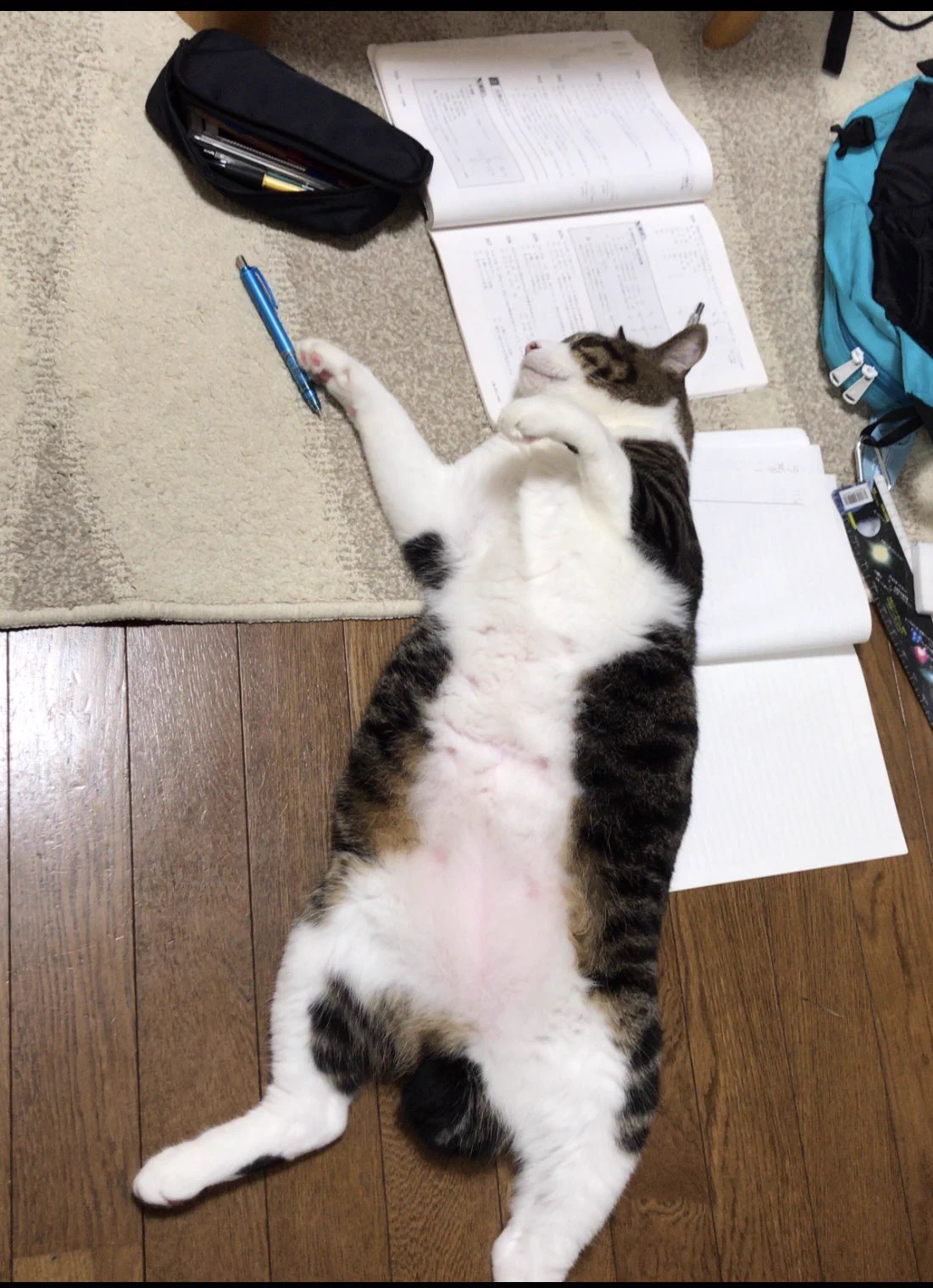@tyomateee2 勉強なんてしてられっかァァァ！ 