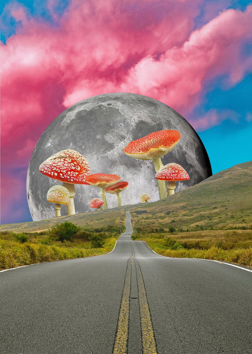 TRSWNTCRY's tweet photo. here is some of the art I have available as prints on my site :) I have listings for custom collages on my site as well!! If you’re another artist and wanna do an art trade that would be cool too ❣️ https://t.co/NPkzWYJ1WW https://t.co/LKj9JlWaNf