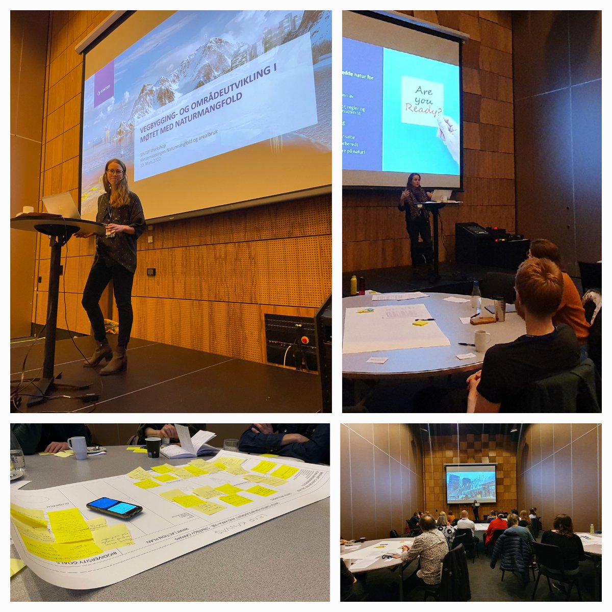 Lilliaha's tweet photo. Vi i SINTEF Community arrangerte i går første tematiske workshop ifbm. #KSNaturmangfold. Tema var vegbygging og områdeutvikling i møte med naturmangfold og arealbruk- et tema som ikke sjelden skaper debatt i vårt langstrakte land! 📣🌳🚵‍♂️🚗🦅 Takk for gode diskusjoner! 👏🏻 https://t.co/GPD3JCEoyh