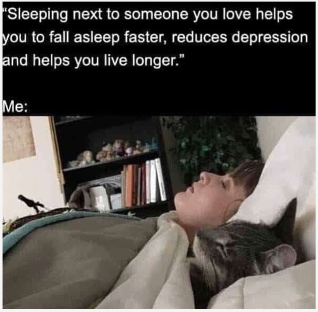 WholesomeMeme's tweet photo. https://t.co/6bNKIlrbbK