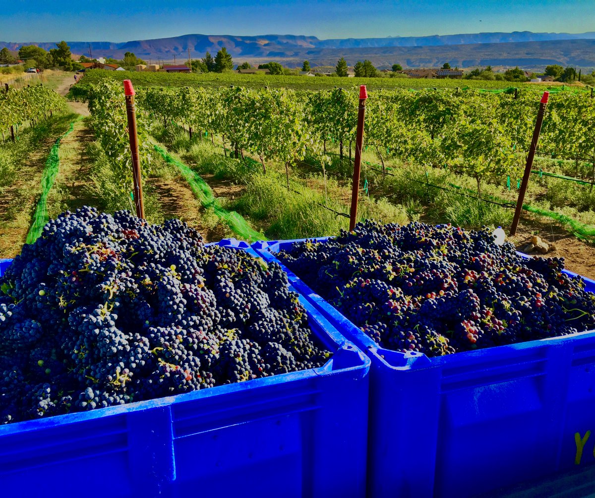 devourphoenix's tweet image. It’s just a quick trip to visit Cottonwood, Clarkdale or Jerome to enjoy the sites and taste some of the region&apos;s famous wines and if you haven’t had the chance to go yet — this is your sign! ⬇️

decanter.com/wine-travel/ve…