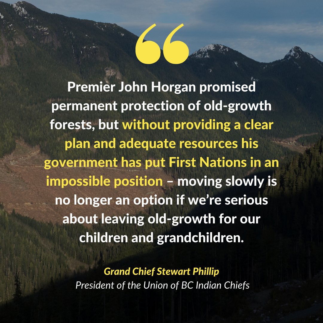 SierraClubBC's tweet photo. "Moving slowly is no longer an option if we’re serious about leaving #oldgrowth for our children and grandchildren." - Grand Chief Stewart Phillip, President of @UBCIC. 

Read the full story here ➡️ https://t.co/T3wbzQp051 https://t.co/ywueAttgBf