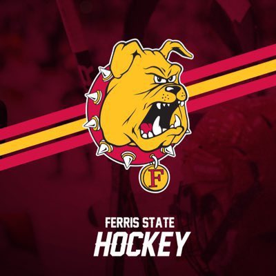 I am honoured to announce my commitment to play Division I hockey at Ferris State University. Beyond thankful for the support I’ve received from my family, friends, teammates and the Spruce Grove Saints organization. <a href="/FerrisHockey/">Ferris State Hockey</a> <a href="/sgsaints/">Spruce Grove Saints</a>