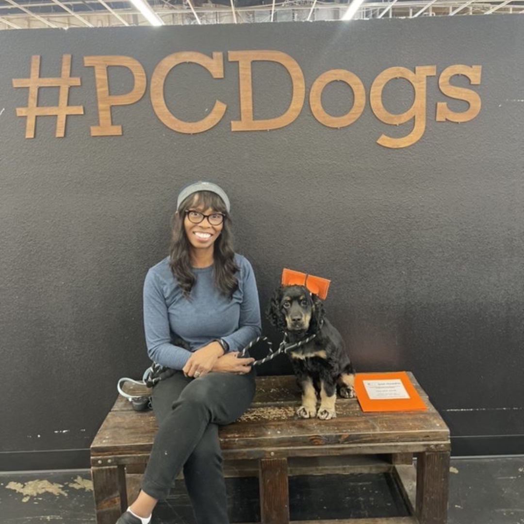 PCDogTraining's tweet photo. Graduation! A symbol of what’s been accomplished and excitement for what’s to come. We LOVE to see it 😍🎓💪🏽 https://t.co/ugml4MnukW
