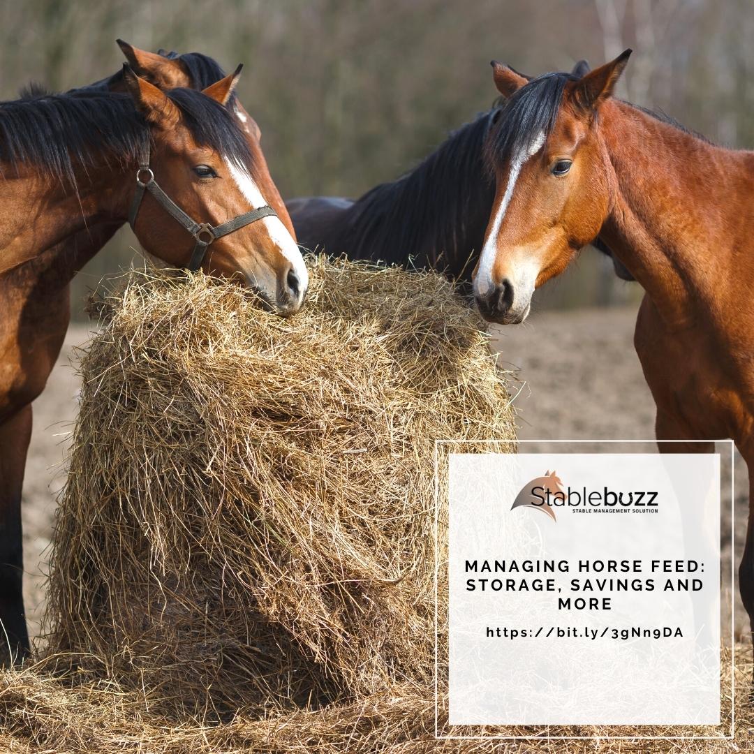 stablebuzz's tweet image. Every year, billions of dollars are lost around the globe to poor feed storage in the equine industry.

Read more on @FEI_Global about feed storage and management - bit.ly/3gNn9DA

#horses #horserider #equestrian #stablemanagement #horsefeed #feedinghorses #feedstorage