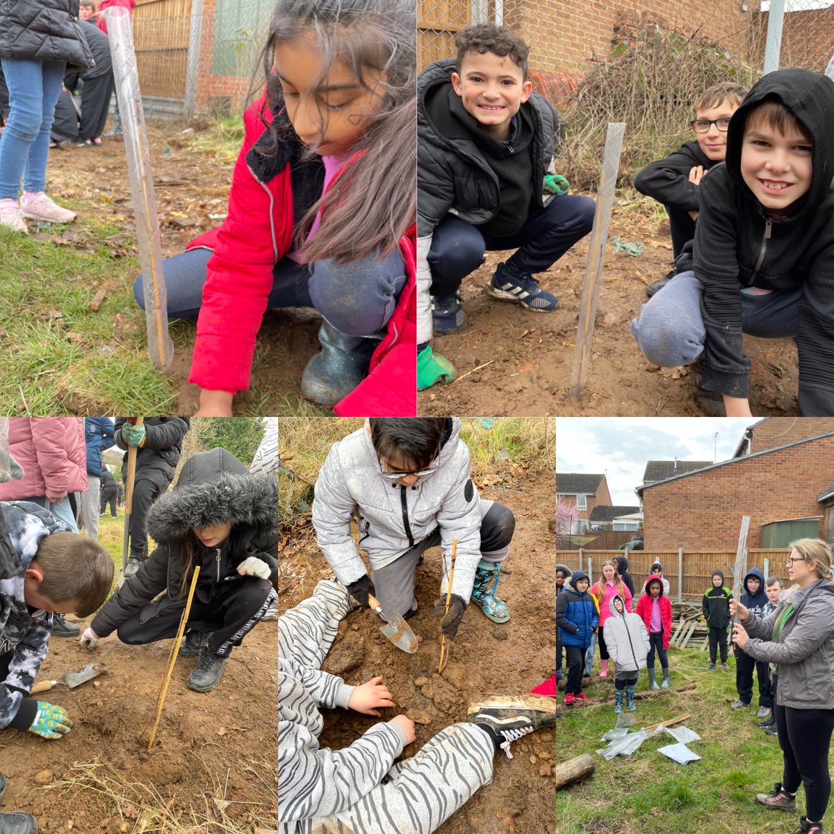 MPATilehurst's tweet photo. Year 5/6 Oak and Ash classes are super proud of the trees they have planted @BBOWT #bigclimatefightback #nooneistoosmalltomakeadifference #silverbirch #rowan #wildcherry #forestschool #biodiversity https://t.co/jlfk8sVetp