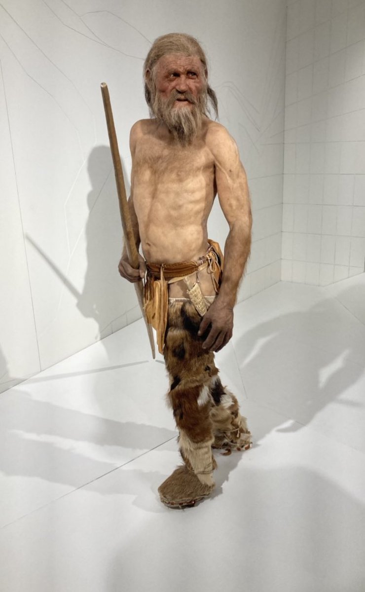 NicoleKilianPhD's tweet photo. Met a very distinguished (5000-year-old) gentleman @oetzimuseum today. 
Thank you very much @AlbZink for introducing me to #oetzitheiceman. https://t.co/OCBQoBxuiI
