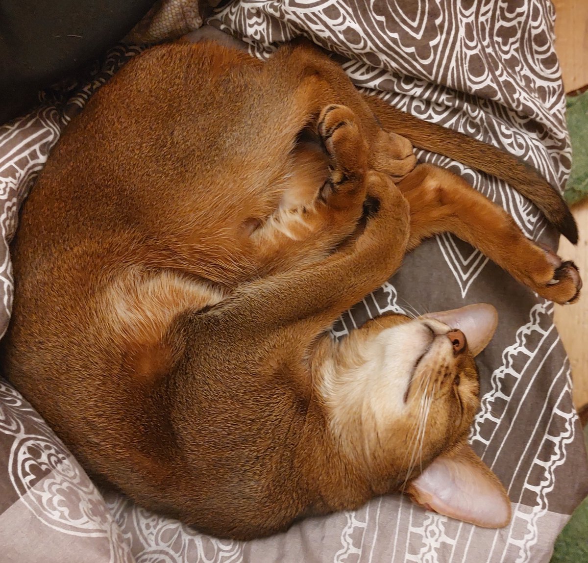 Salierilovesyou's tweet photo. Спокойной ночи, мои дорогие дети. Каждому назначаются поцелуй в лоб и сладкие сны https://t.co/9W9tQdChBb