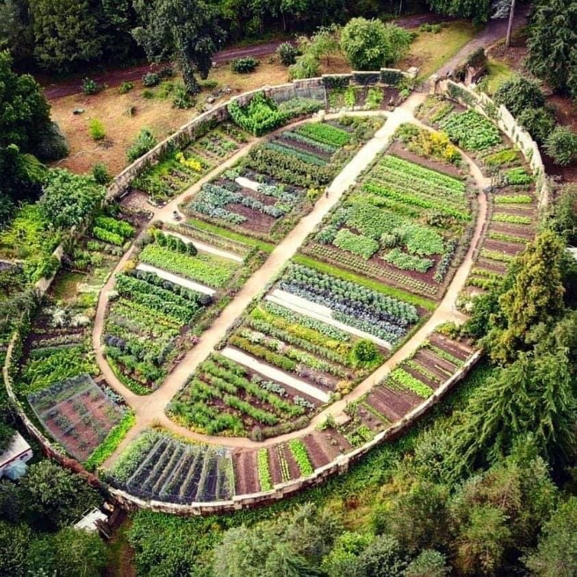 Love this community food garden at Gravetye Manor, West Sussex