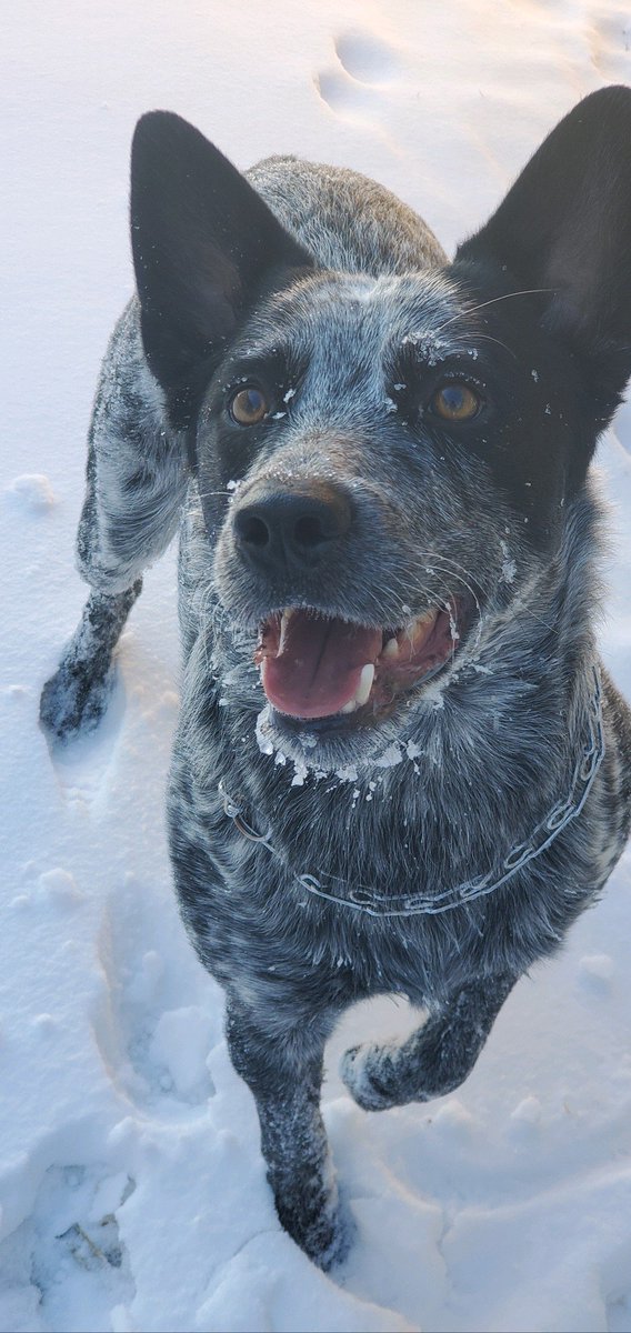 Jeanine Perry (RedDiamondRlty) Twitter