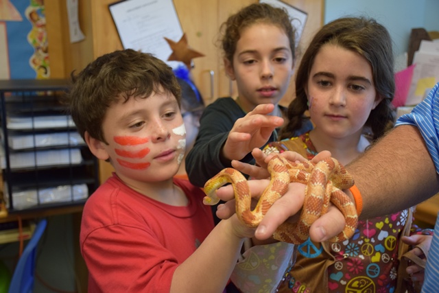 Slither into the summer with us as we discover the most well adapted predator on the planet at our All About Snakes camp for 3-5th graders, July 11-15! Register today &amp; check out our other camps to get outside and connect with nature this summer at bit.ly/YoungNaturalis….