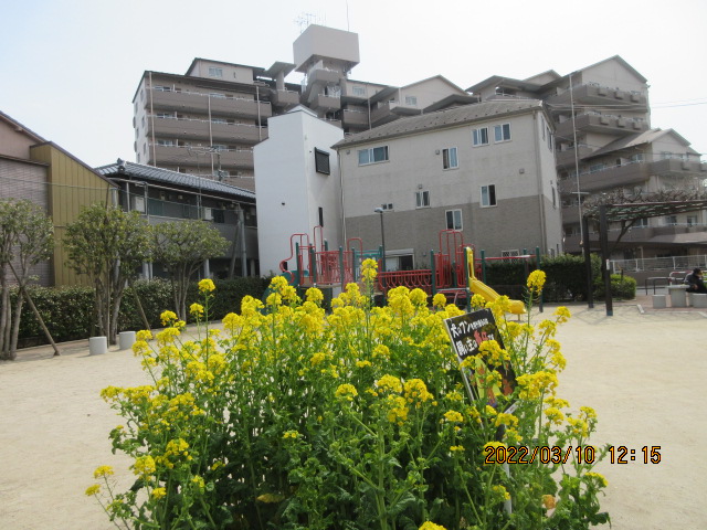 賀来千香子 画像 最新情報まとめ みんなの評判 評価が見れる ナウティスモーション
