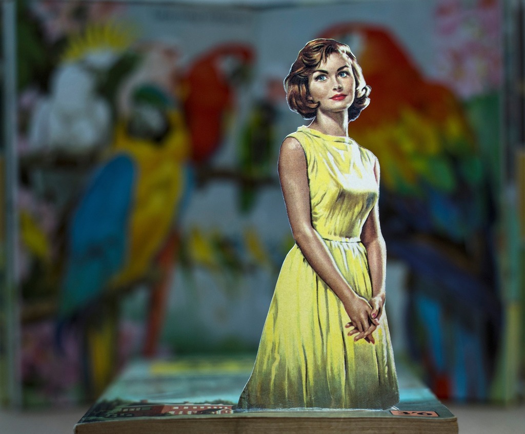 YorkOpenStudios's tweet photo. Claire Morris Photography cuts the characters from vintage books, dramatically lighting and staging the shot so that the figures appear to come to life. The result is unbelievably three dimensional. https://t.co/VMkfiwYgk1